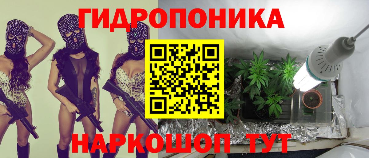 Бошки Шишки Bruce Banner  Канабис VHQ  Аргун  Вход с VPN 